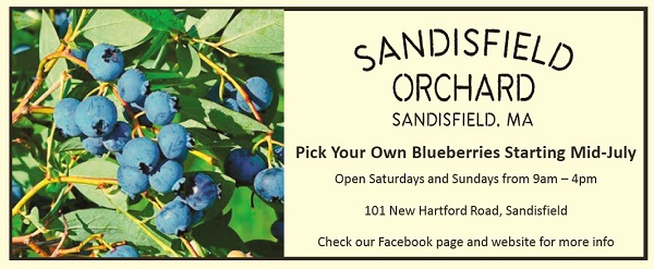 advertising for Sandisfield Orchard.