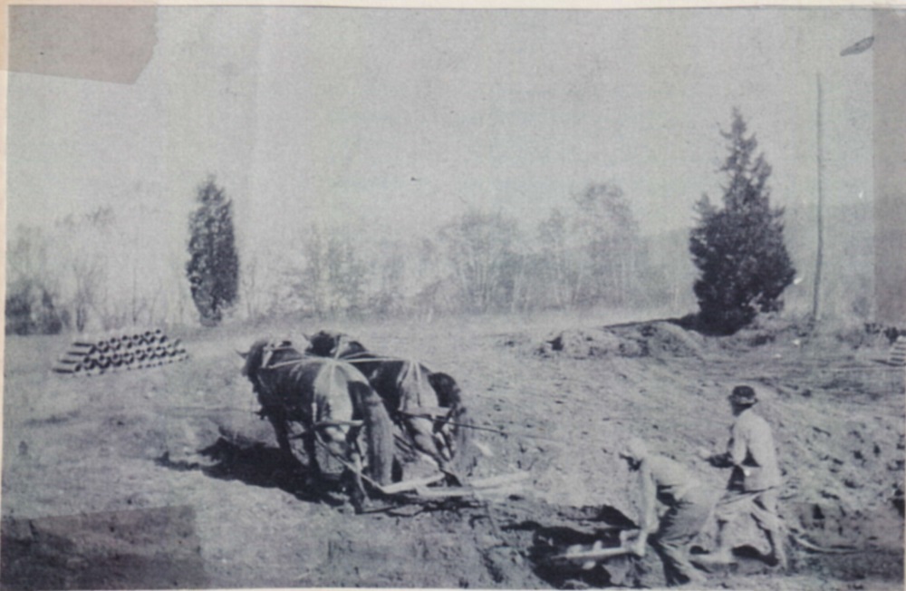 image of The Riiska family, plowing with a team of horses.