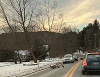 image of ducks crossing Route 57 in New Boston.