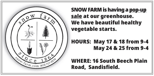 image of the snow farm sale.