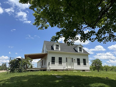 image of an orchard.