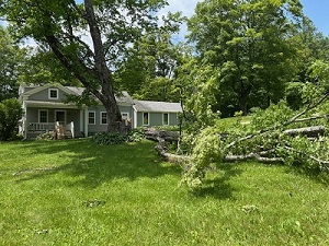 image of a tree down in front of a house.