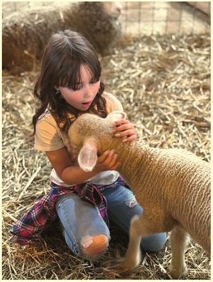 image of a little girl holding a baby lamb.