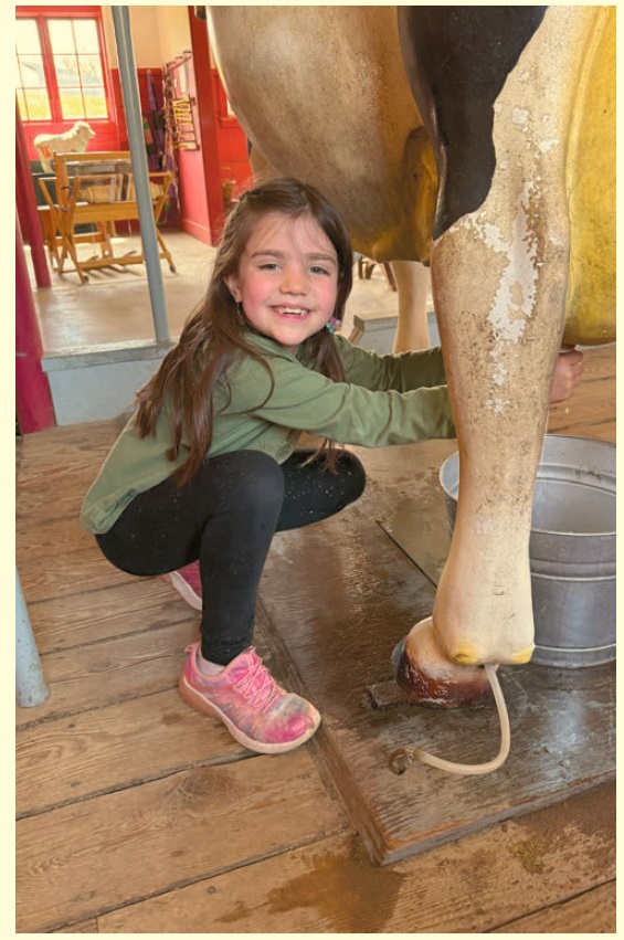 image of a little girl milking a cow.