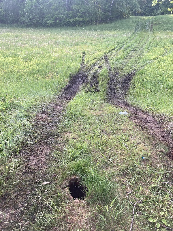 image of ruts made by an ATV.