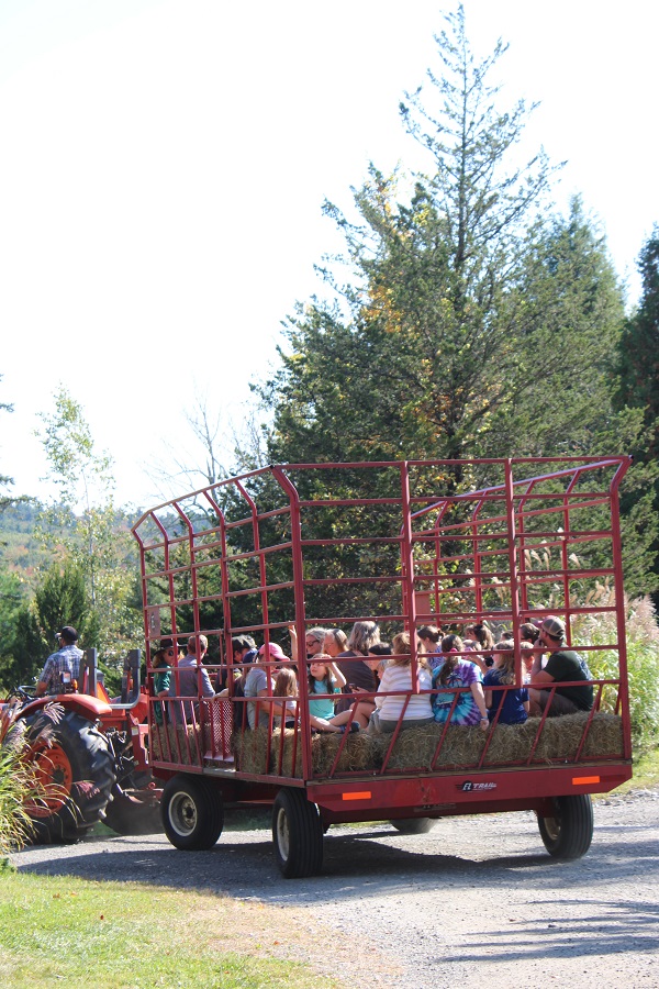 image of children in a hay wagon.