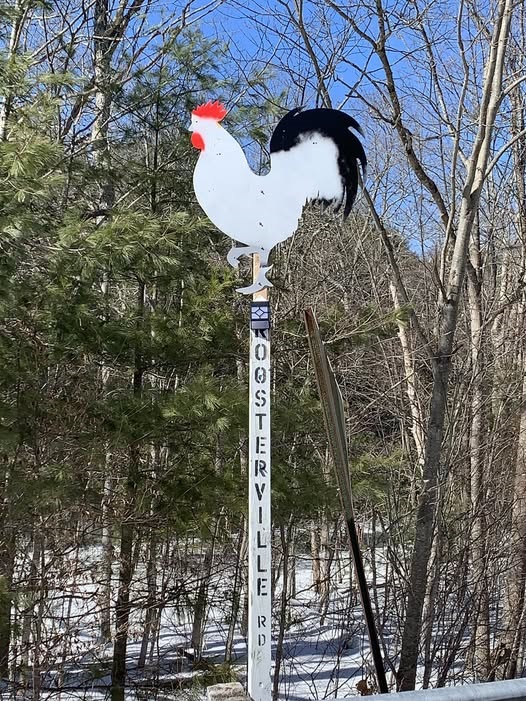 image of the roosterville sign.