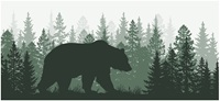 image of a bear walking in the woods.