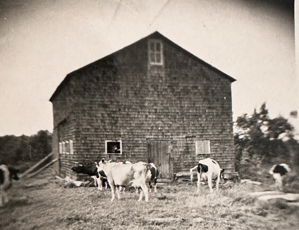 image of the old Sandisfield Orchard barn.