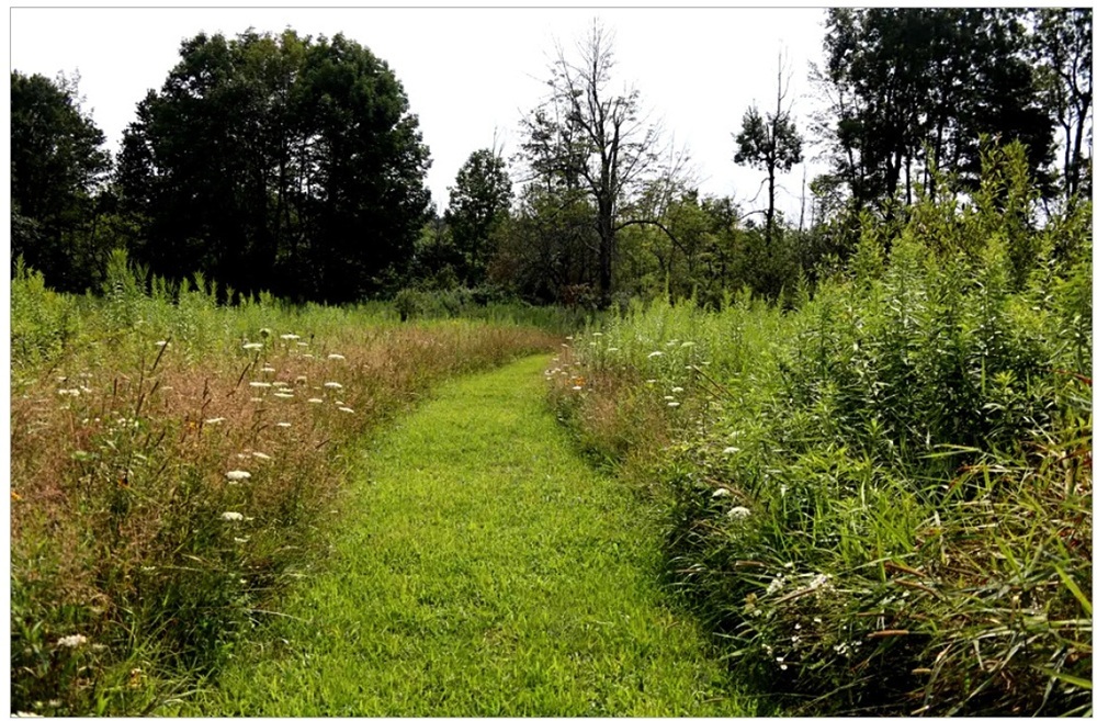 image of Yanner Park.