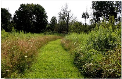 image Yanner Park.
