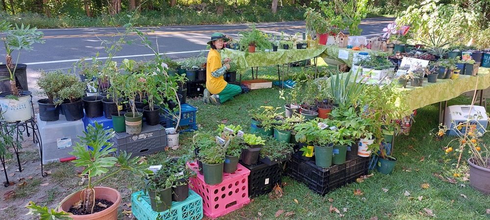 image of the church yard sale.
